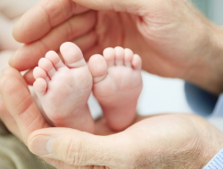 �̌��w�K�C���[�W